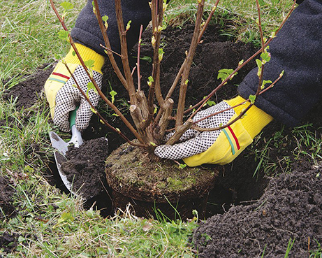 posadka20.jpg posadka20.jpg